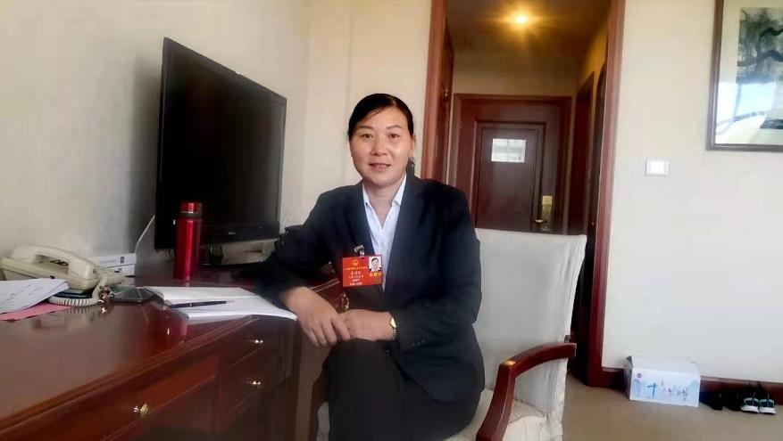 李国琴代表:完善立法,执法,司法标准 健全醉驾治理体系 提升醉驾治理