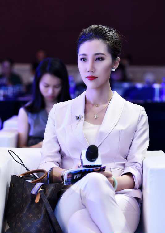 叶美毅(央视栏目主持人)