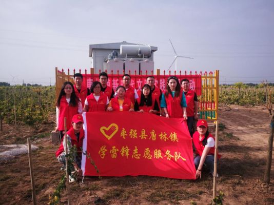 枣强县唐林镇:开展党史学习教育主题党日活动