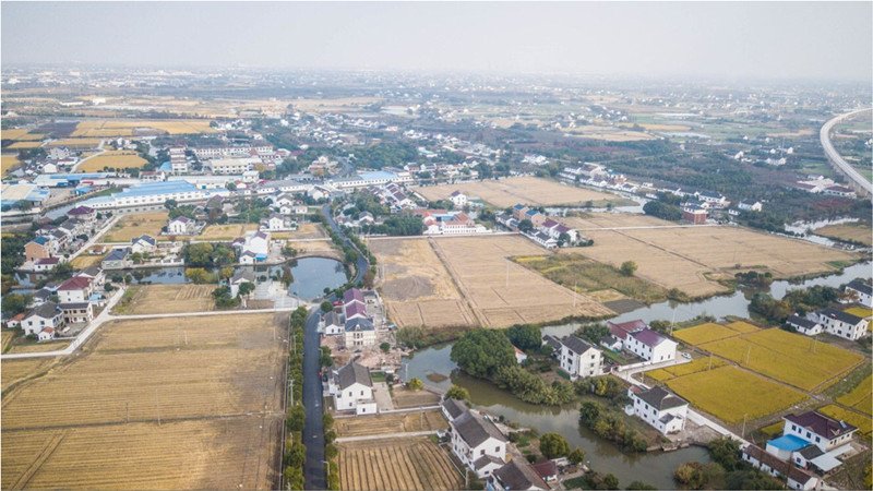 江苏太仓沙溪镇特色康居村秀水香塘的蝶变密码
