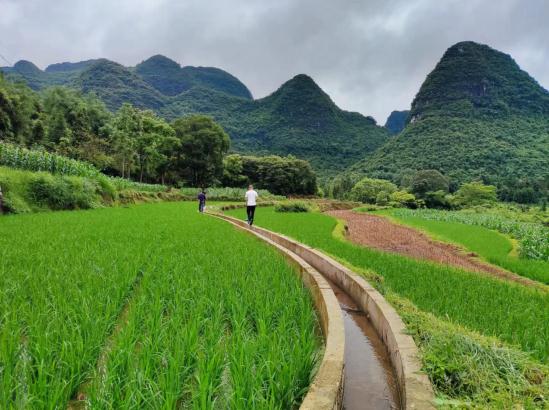 广西融安推进高标准农田建设提升粮食生产能力
